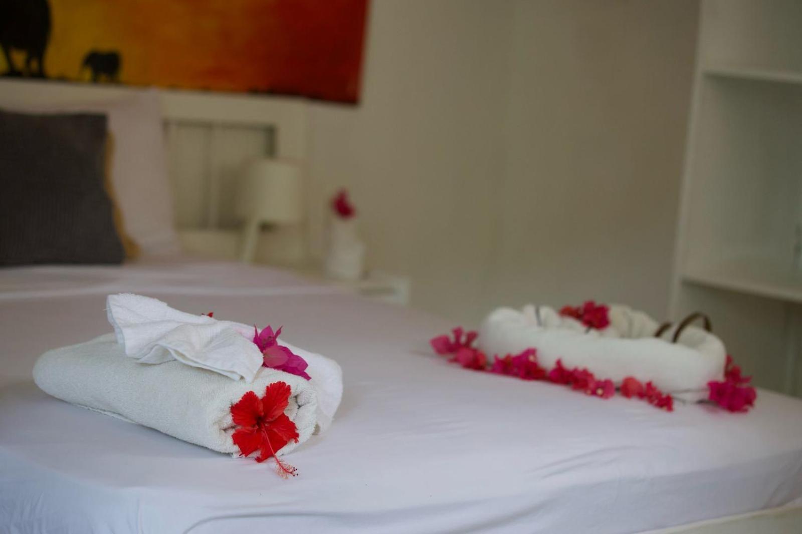 Afreeka Beach Hotel Las Terrenas Exterior photo